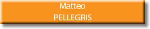 Matteo PELLEGRIS